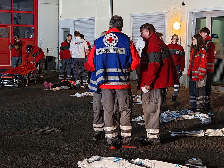 Darsteller Patienten, Sichtungsszenario SEG T3-Übung